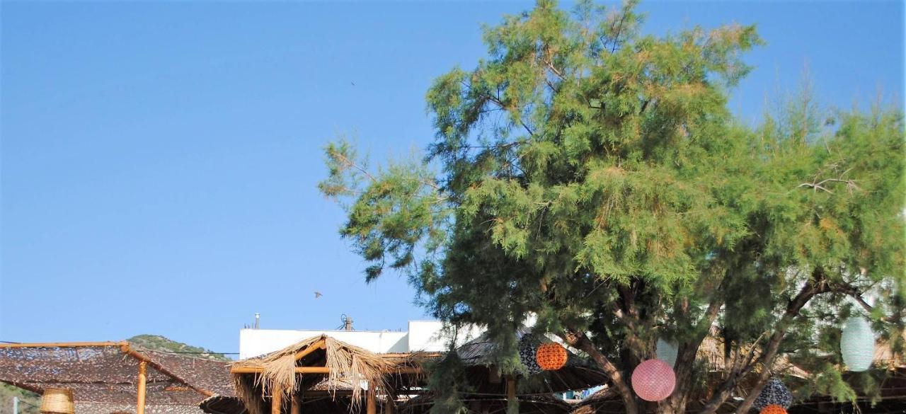 Puerto Seaside Rooms Akhladherí Dış mekan fotoğraf